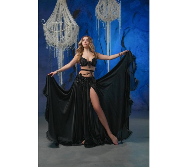 Professional bellydance costume (Classic 421A_1s)